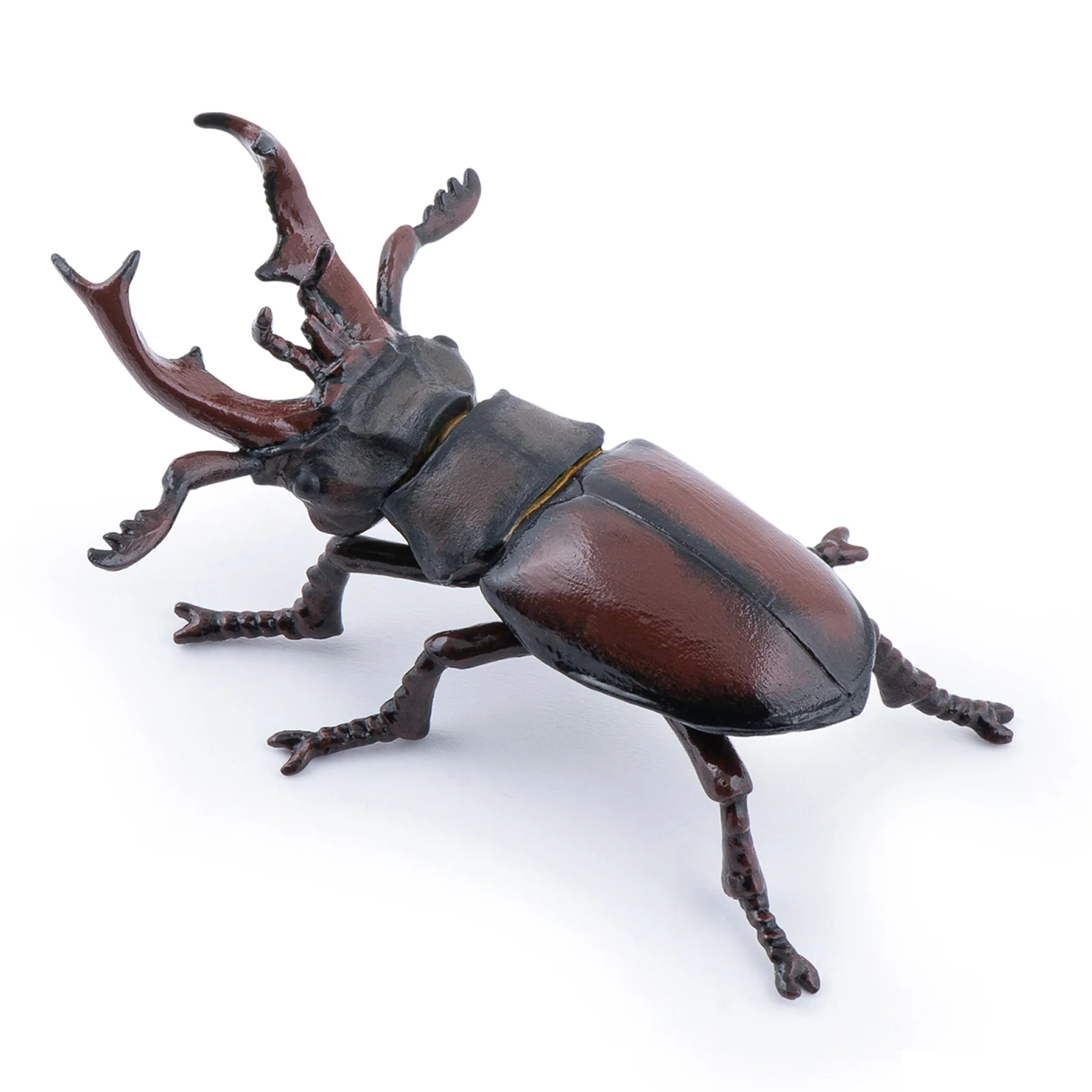Miniature 1